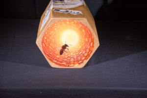 boîte de jeu, ruche, illusion d'optique, IA illustration, jeu