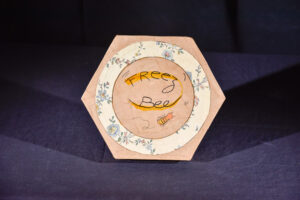 couverture boîte de jeu, FreezBee, Ruche, récup, upcycling