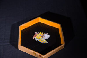 Reine, abeille Queen Bee, FreezBee, envers de la ruche